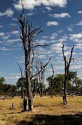 BOTSWANA Roberto e Lidia - 057